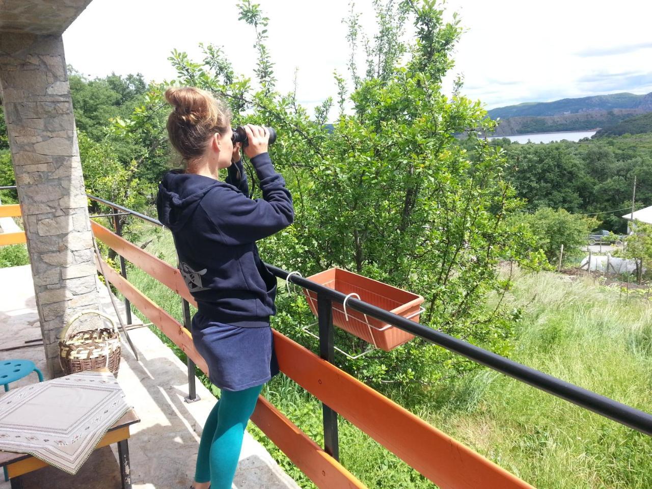 Mihaela Lake Retreat Gnyazdovo Bagian luar foto